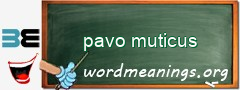 WordMeaning blackboard for pavo muticus